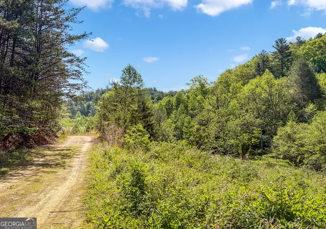 37th image of 40 Ac #1 Valley Lake Rd #MULTIPLE, Mineral Bluff, GA 30559 | MLS# 10824223