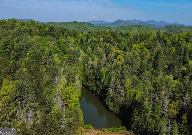 3rd image of 40 Ac #1 Valley Lake Rd #MULTIPLE, Mineral Bluff, GA 30559 | MLS# 10824223