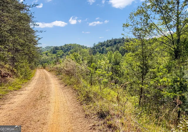 4th image of 40 Ac #1 Valley Lake Rd #MULTIPLE, Mineral Bluff, GA 30559 | MLS# 10824223