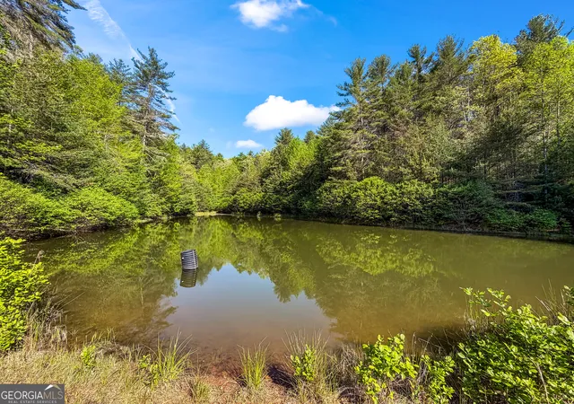 5th image of 40 Ac #1 Valley Lake Rd #MULTIPLE, Mineral Bluff, GA 30559 | MLS# 10824223