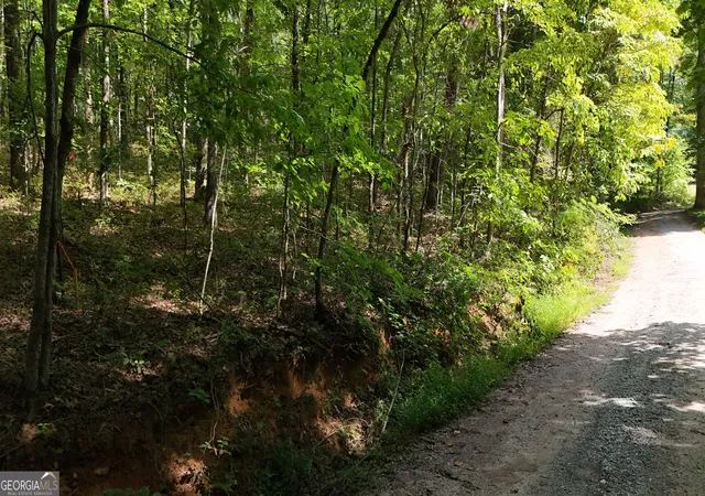2nd image of Lot 184 Hillside Dr, Clarkesville, GA 30523 | MLS# 10830127