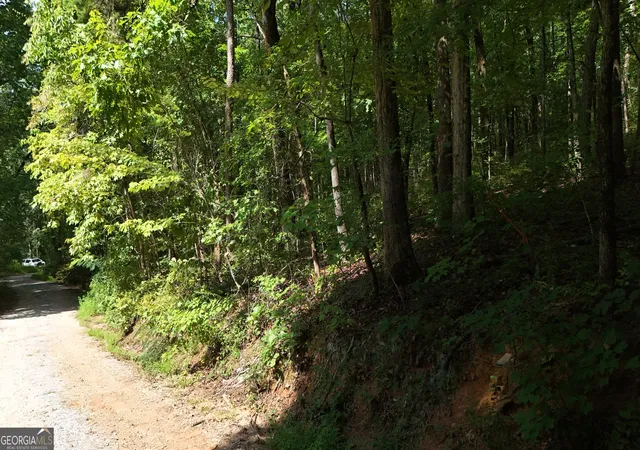 4th image of Lot 184 Hillside Dr, Clarkesville, GA 30523 | MLS# 10830127