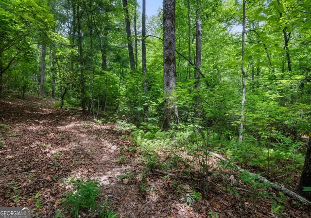 Photo 22 of Land for sale at 5764 Ac Mountain Ash Rd, Ellijay, GA 30536 | MLS# 10787444 | Listing updated on 2026-07-03