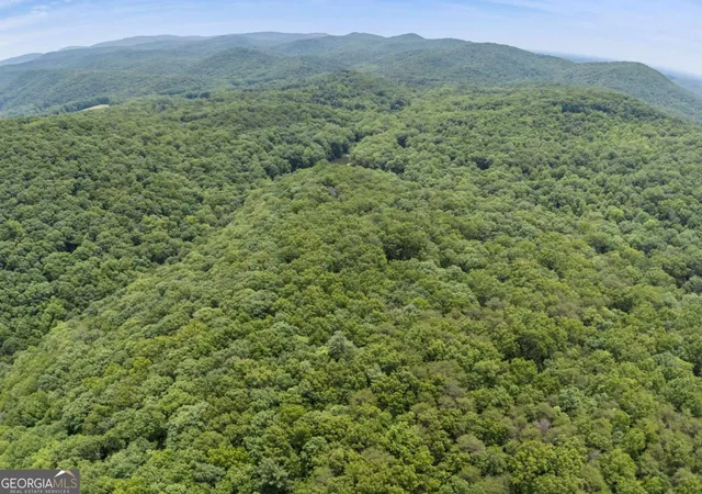 Photo 2 of Land for sale at 5764 Ac Mountain Ash Rd, Ellijay, GA 30536 | MLS# 10787444 | Listing updated on 2026-07-03