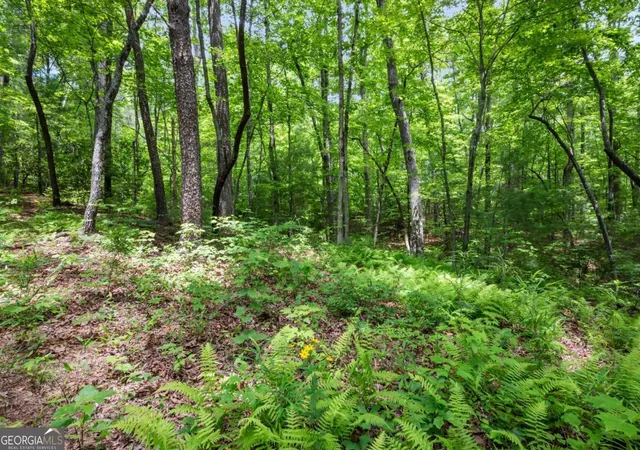 Photo 4 of Land for sale at 5764 Ac Mountain Ash Rd, Ellijay, GA 30536 | MLS# 10787444 | Listing updated on 2026-07-03