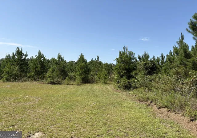 Photo 1 of Land for sale at 0 Dixon Rd, Dublin, GA 31021 | MLS# 10827809 | Listing updated on 2026-09-01