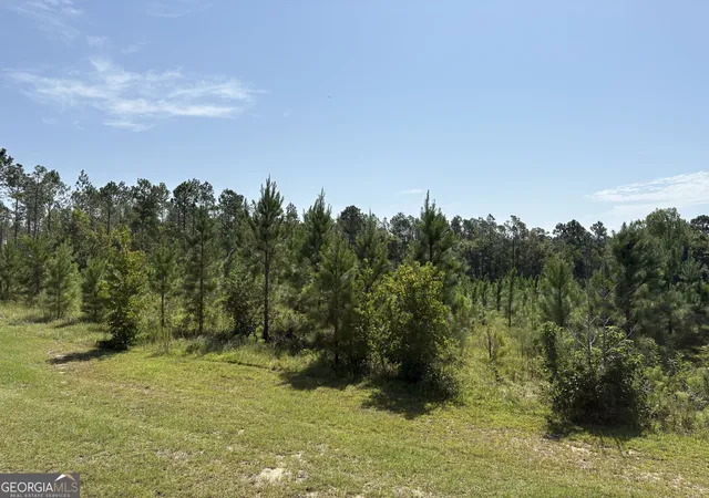 Photo 2 of Land for sale at 0 Dixon Rd, Dublin, GA 31021 | MLS# 10827809 | Listing updated on 2026-09-01