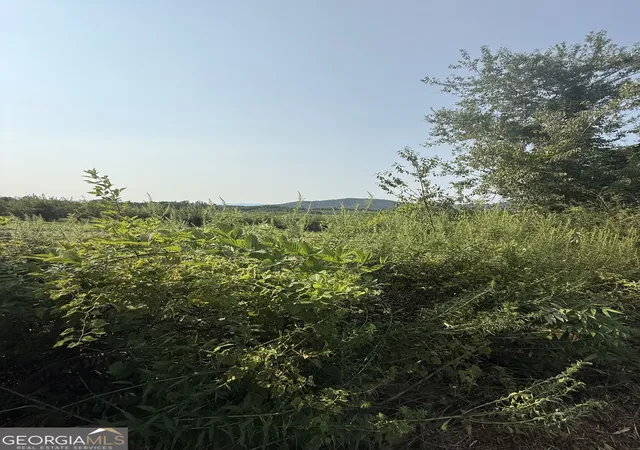 Photo 3 of Land for sale at 00 Ridgemont Ln, Ellijay, GA 30536 | MLS# 10835367 | Listing updated on 2026-09-11
