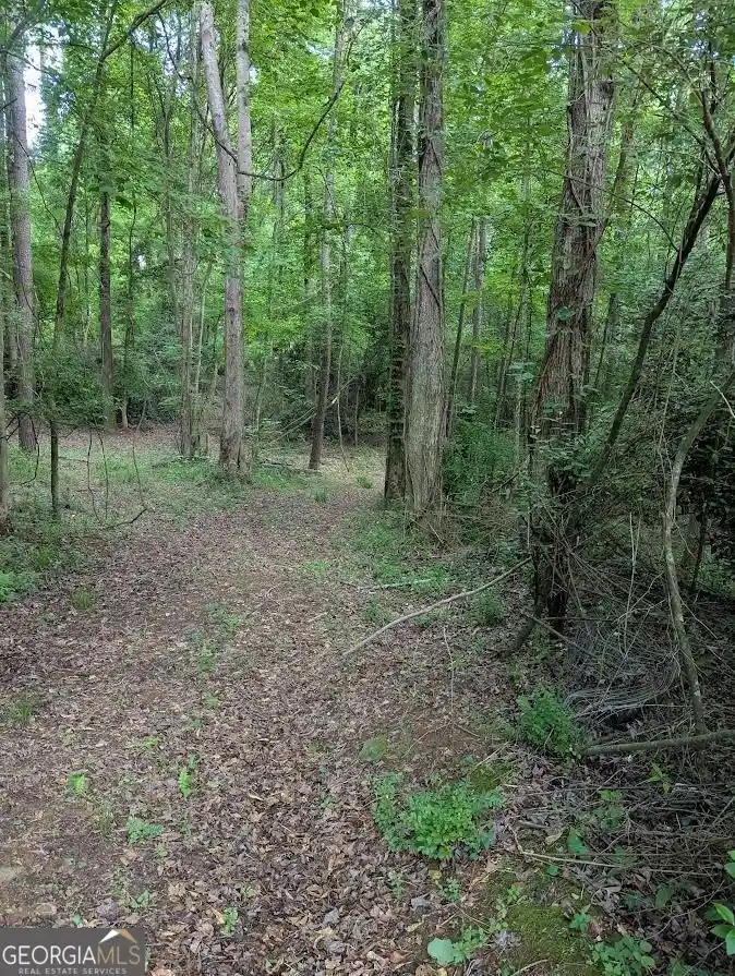 Land for sale at 2773 River Rd, Ellenwood, GA 30294 | MLS# 10853774