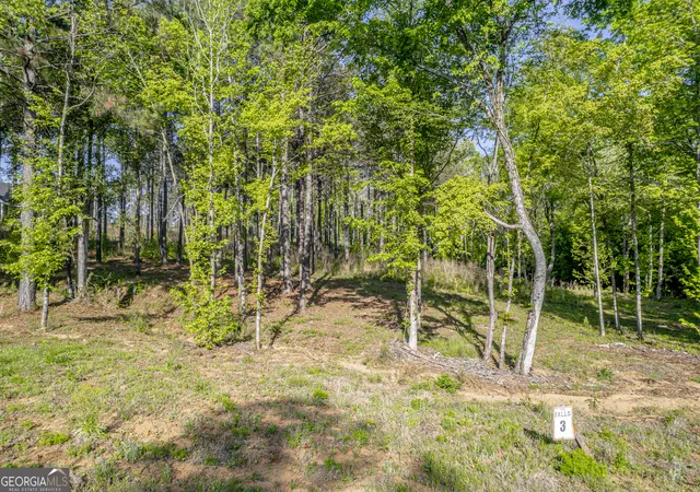Photo 3 of Land for sale at 126 Falls Ln, Milledgeville, GA 31061 | MLS# 10740438 | Listing updated on 2026-05-08