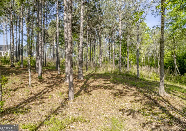 Photo 4 of Land for sale at 126 Falls Ln, Milledgeville, GA 31061 | MLS# 10740438 | Listing updated on 2026-05-08