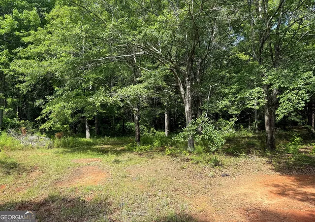 Homes for sale in Manchester, GA | 2391 Chalybeate Rd, Manchester, GA 31816 | MLS# 10786952