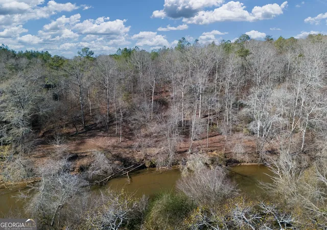 Homes for sale in Woodland, AL | 0 County Road 432 Lot 4 #L4, Woodland, AL 36280 | MLS# 10777939