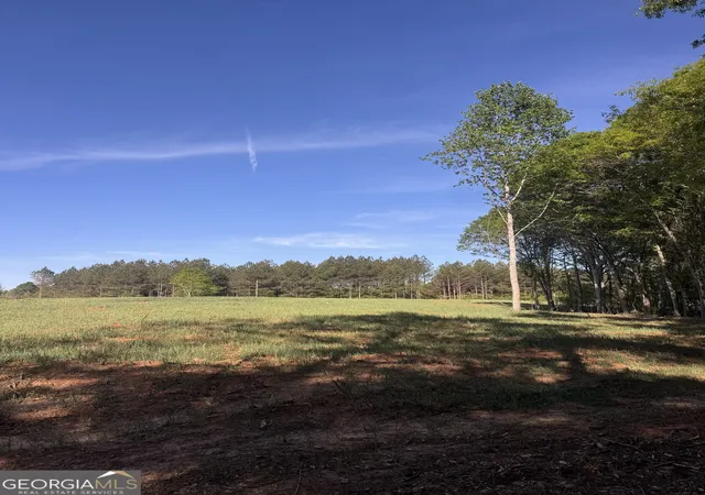 Homes for sale in Woodland, AL | 0 County Road 432 Lot 4 #L4, Woodland, AL 36280 | MLS# 10777939
