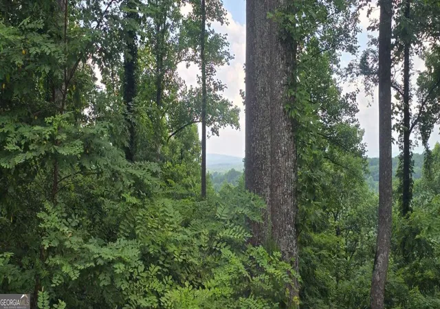 1st image of 001 Windning Ridge, Blairsville, GA 30512 | MLS# 10798551
