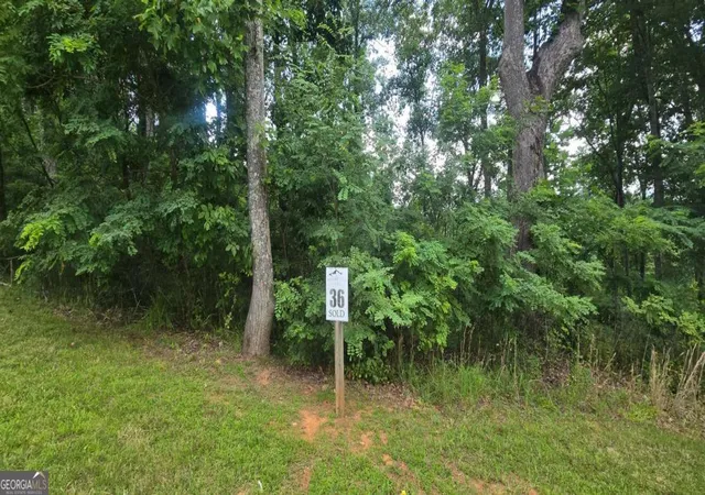 3rd image of 001 Windning Ridge, Blairsville, GA 30512 | MLS# 10798551