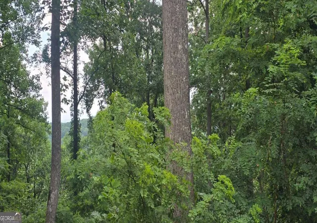4th image of 001 Windning Ridge, Blairsville, GA 30512 | MLS# 10798551