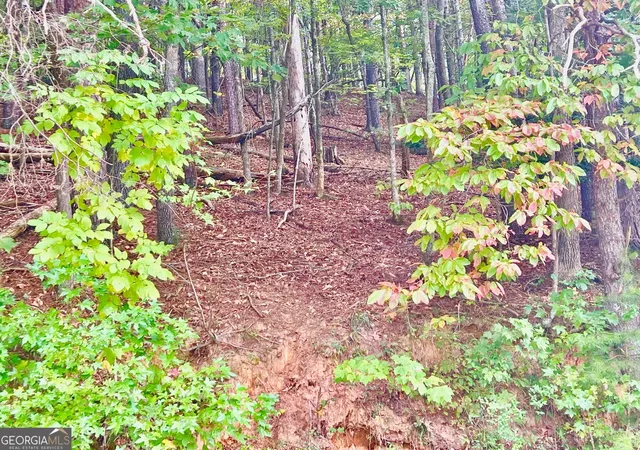 Photo 1 of Land for sale at 12 Cherokee Dr, Ellijay, GA 30540 | MLS# 10400260 | Listing updated on 2026-04-30