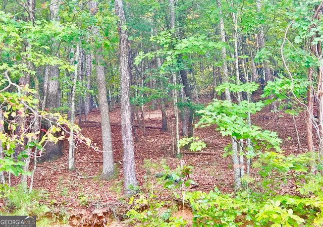 Photo 2 of Land for sale at 12 Cherokee Dr, Ellijay, GA 30540 | MLS# 10400260 | Listing updated on 2026-04-30