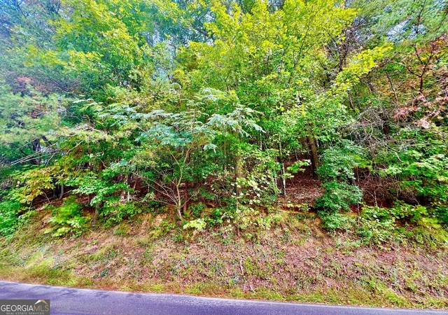 Photo 3 of Land for sale at 12 Cherokee Dr, Ellijay, GA 30540 | MLS# 10400260 | Listing updated on 2026-04-30