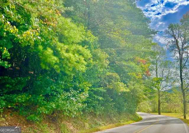 Photo 4 of Land for sale at 12 Cherokee Dr, Ellijay, GA 30540 | MLS# 10400260 | Listing updated on 2026-04-30