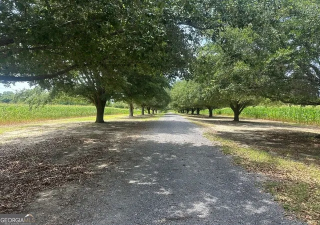 1st image of 1808 Wire Rd, Norway, SC 29113 | MLS# 10825852