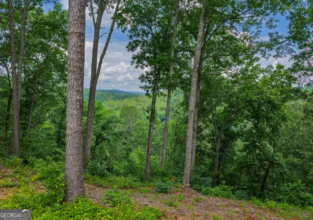 Photo 1 of Land for sale at Lot 295a Pebble Tr, Talking Rock, GA 30175 | MLS# 10786580 | Listing updated on 2026-09-20
