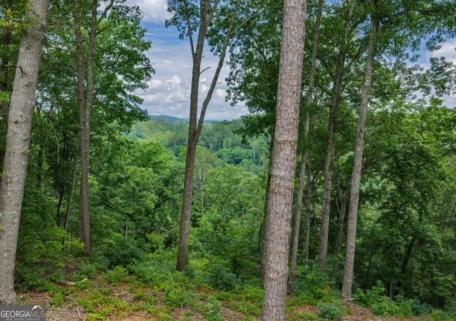Photo 2 of Land for sale at Lot 295a Pebble Tr, Talking Rock, GA 30175 | MLS# 10786580 | Listing updated on 2026-09-20