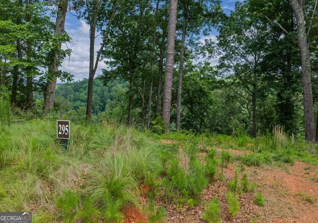 Photo 3 of Land for sale at Lot 295a Pebble Tr, Talking Rock, GA 30175 | MLS# 10786580 | Listing updated on 2026-09-20