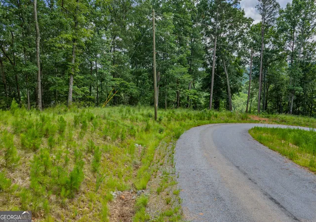 Photo 3 of Land for sale at Lot 295a Pebble Tr, Talking Rock, GA 30175 | MLS# 10786580 | Listing updated on 2026-09-20