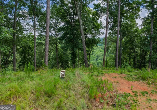 Photo 4 of Land for sale at Lot 295a Pebble Tr, Talking Rock, GA 30175 | MLS# 10786580 | Listing updated on 2026-09-20