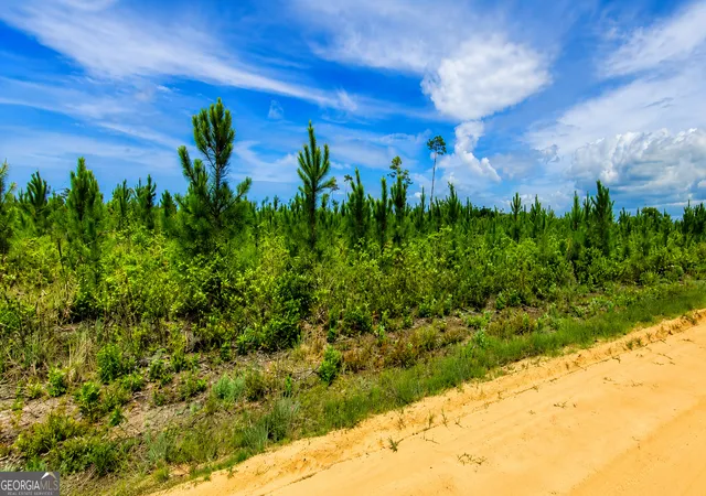 Photo 4 of House for sale at 32 Acres Allanton Rd, Panama City, FL 32404 | MLS# 10786560 | Listing updated on 2026-09-17