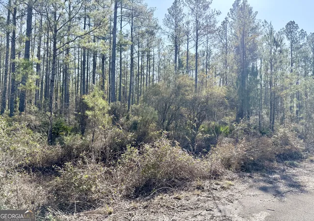 Photo 3 of Land for sale at 18 Satilla Plantation, Waynesville, GA 31566 | MLS# 10682282 | Listing updated on 2026-03-10