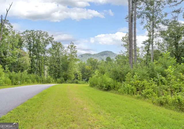 2nd image of Lot 73 Leisure Mountain Trail, Sautee Nacoochee, GA 30571 | MLS# 10820212