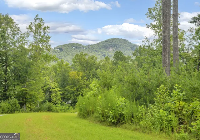 Photo 3 of Land for sale at Lot 73 Leisure Mountain Trail, Sautee Nacoochee, GA 30571 | MLS# 10820212 | Listing updated on 2026-08-23