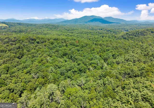 26th image of 4a 0 Creekside Dr, Cleveland, GA 30528 | MLS# 10832527