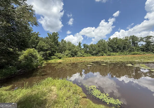 Homes for sale in Preston, GA | 0 Fox Creek Road, Preston, GA 31824 | MLS# 10581761