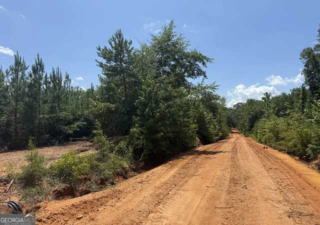 Homes for sale in Preston, GA | 0 Fox Creek Road, Preston, GA 31824 | MLS# 10581761