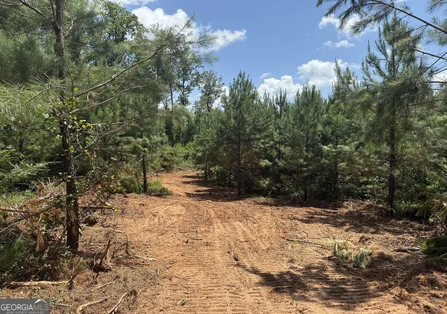 Homes for sale in Preston, GA | 0 Fox Creek Road, Preston, GA 31824 | MLS# 10581761
