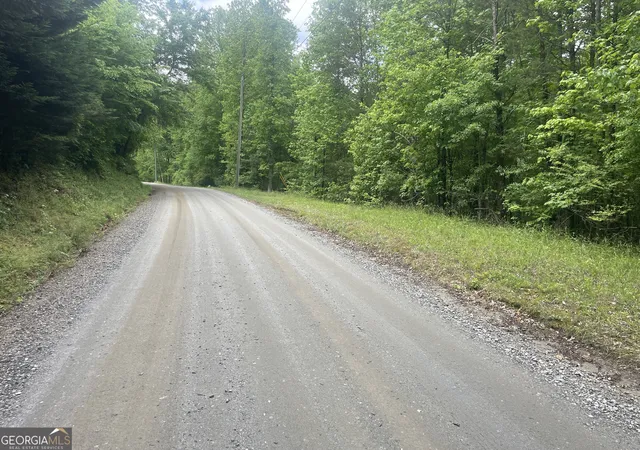 1st image of 0 Luther Plamer, Cleveland, GA 30528 | MLS# 10753013