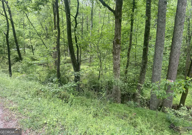 3rd image of 0 Luther Plamer, Cleveland, GA 30528 | MLS# 10753013