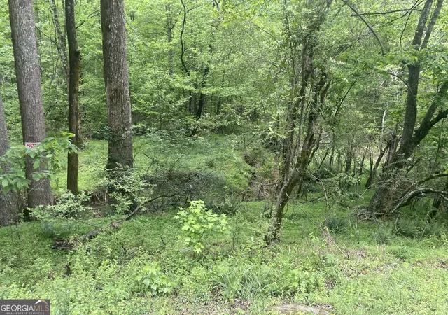 4th image of 0 Luther Plamer, Cleveland, GA 30528 | MLS# 10753013