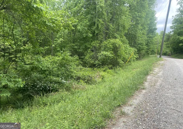 5th image of 0 Luther Plamer, Cleveland, GA 30528 | MLS# 10753013