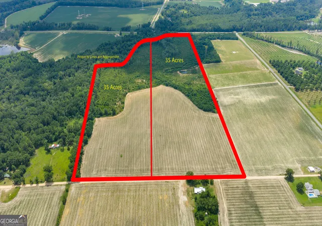1st image of Tract 3 Wade Aycock Rd, Surrency, GA 31563 | MLS# 10818860