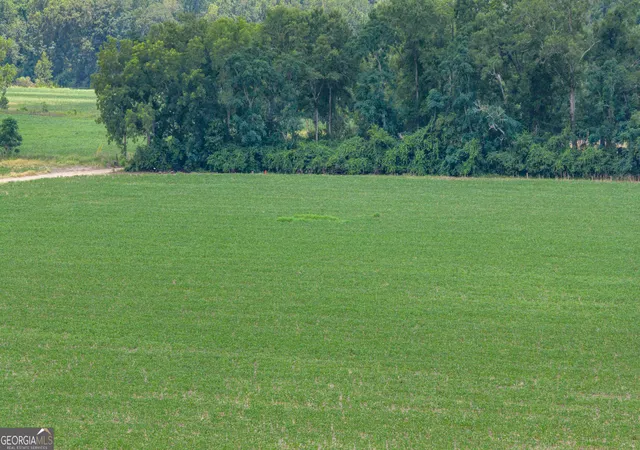 2nd image of Tract 3 Wade Aycock Rd, Surrency, GA 31563 | MLS# 10818860