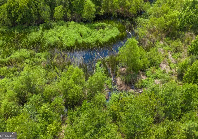 5th image of Tract 3 Wade Aycock Rd, Surrency, GA 31563 | MLS# 10818860