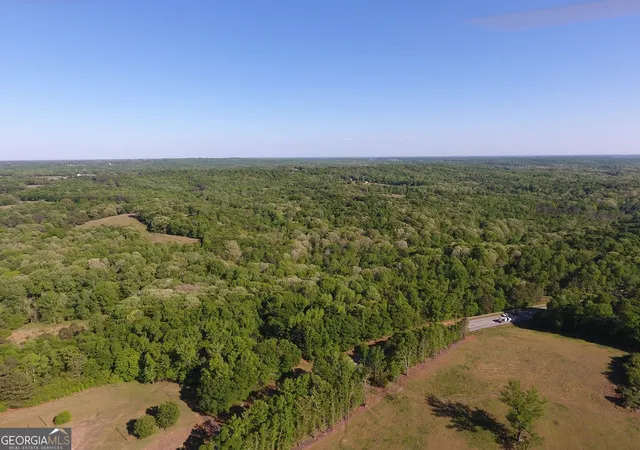 Homes for sale in Royston, GA | 4655 Hwy 29, Royston, GA 30662 | MLS# 10735401