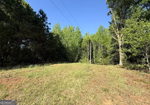 Homes for sale in Royston, GA | 4655 Hwy 29, Royston, GA 30662 | MLS# 10735401
