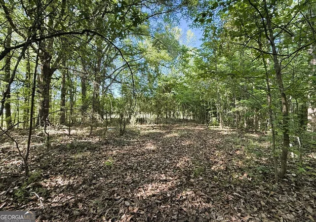 Homes for sale in Royston, GA | 4655 Hwy 29, Royston, GA 30662 | MLS# 10735401