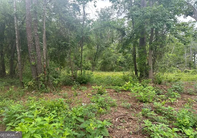 Photo 3 of Land for sale at Lot 26 Cypress Lakes Dr, Lake Park, GA 31636 | MLS# 10813641 | Listing updated on 2026-08-10